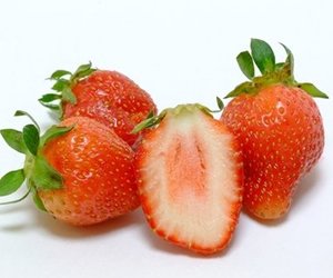 草莓的营养原理